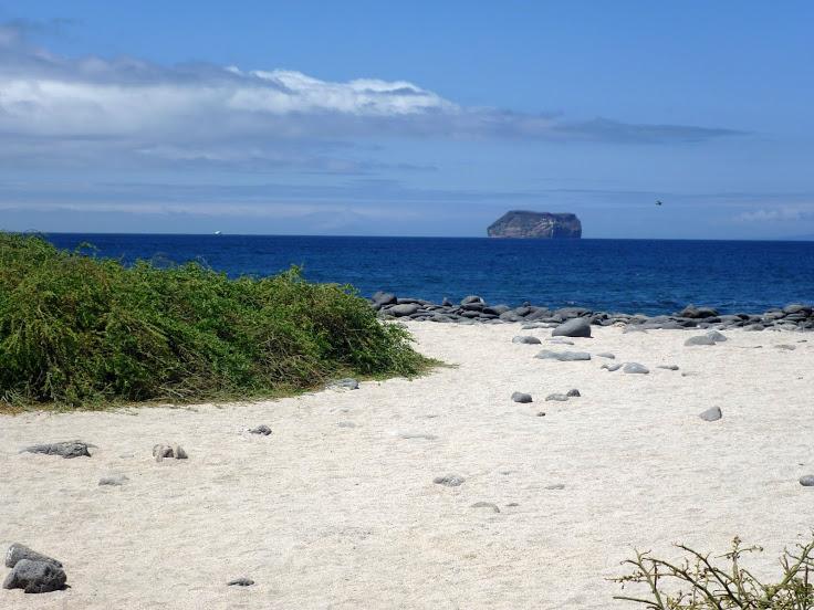 22 05the beach at north seymour island in the galapagos