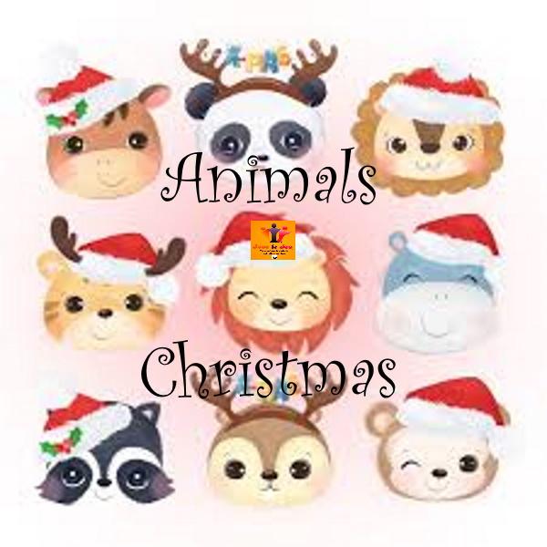 Animalschristmas 1